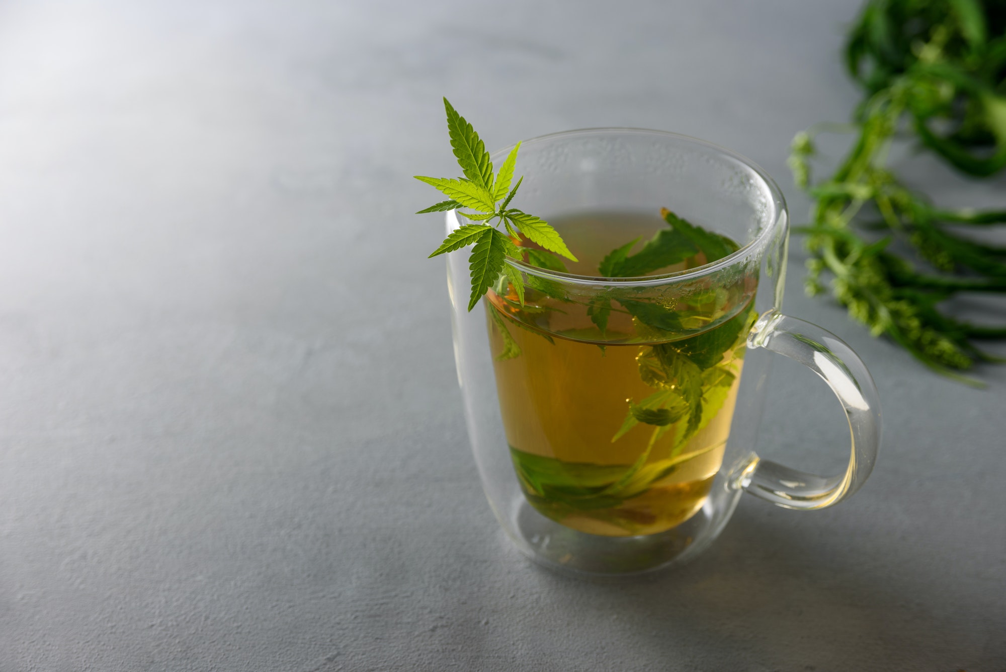 Cup of herbal cannabis tea