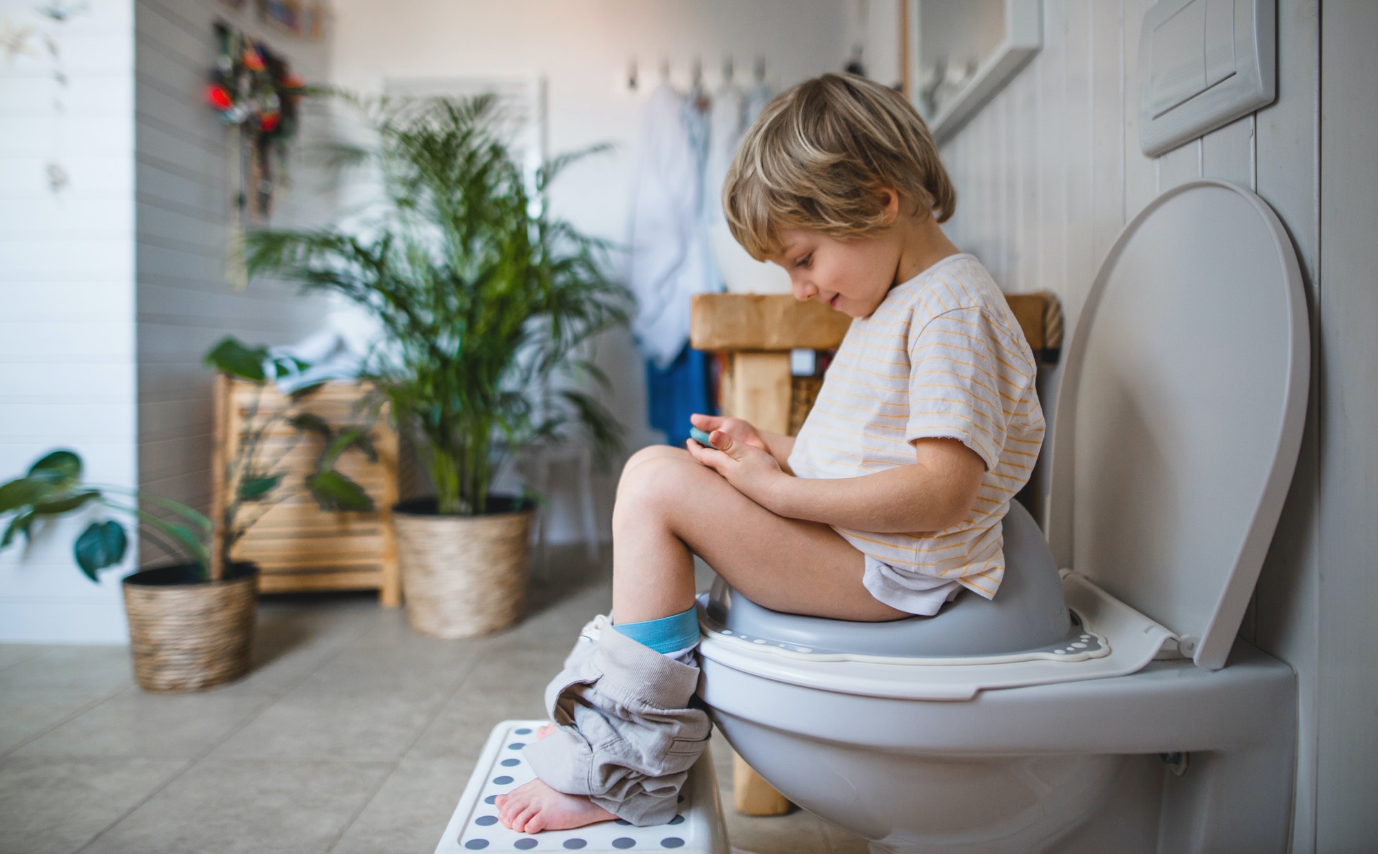 Side view of cute small boy sitting on toilet indoors at home, using smartphone.