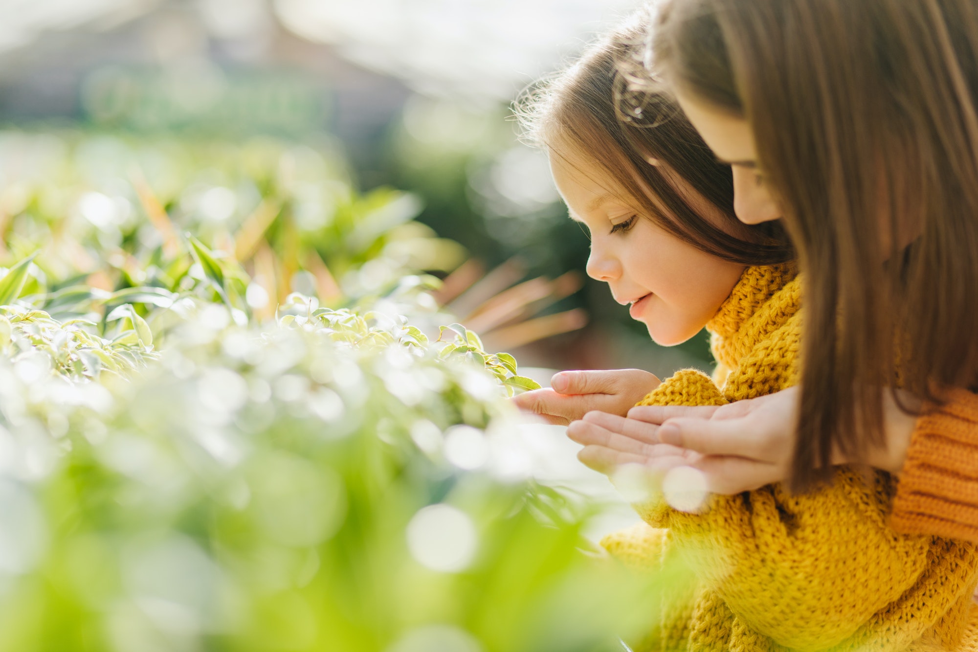 Woman and kid looking at green plants. Inspired mom and daughter enjoying gardening