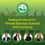 Healing for the A.G.E.S. Virtual Solution Summit 2024 - Energetic Health Institute - Dr. Henry Ealy