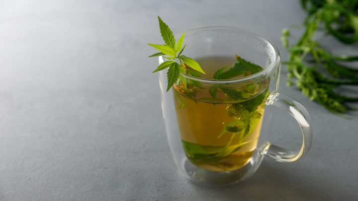 Cup of herbal cannabis tea